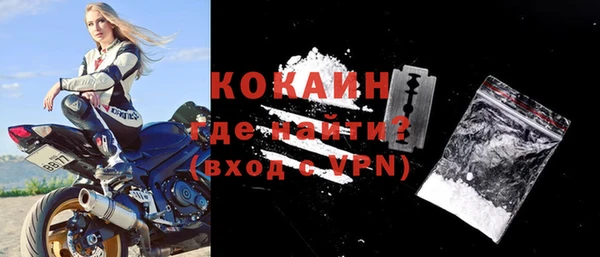 твердый Арсеньев