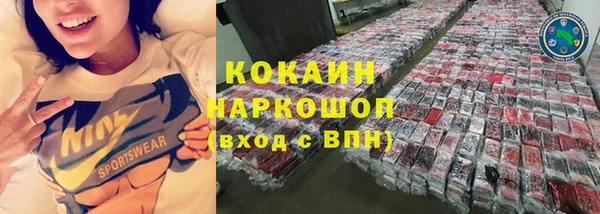 твердый Арсеньев
