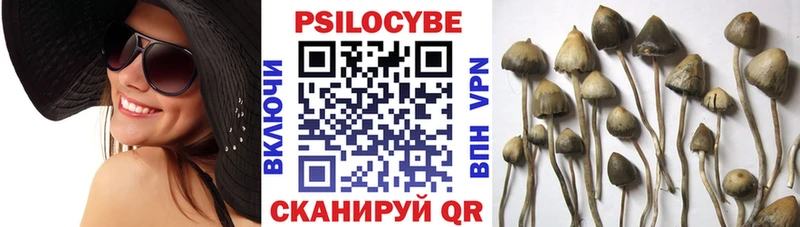 Псилоцибиновые грибы мухоморы  Мамадыш 